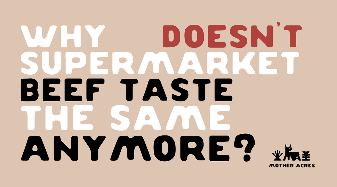 Why Doesn’t Grocery Store Beef Taste the Same Anymore?