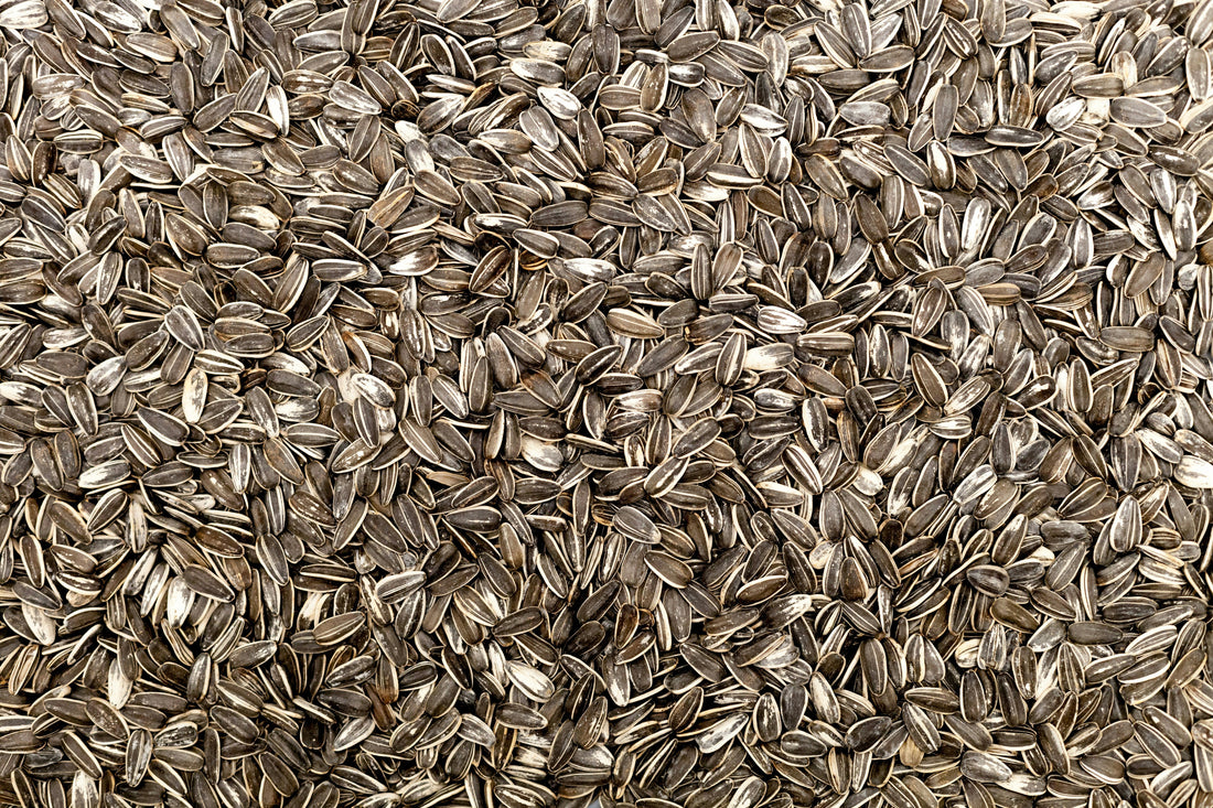 The Truth About Seed Oils: Why We Avoid Them at Mother Acres