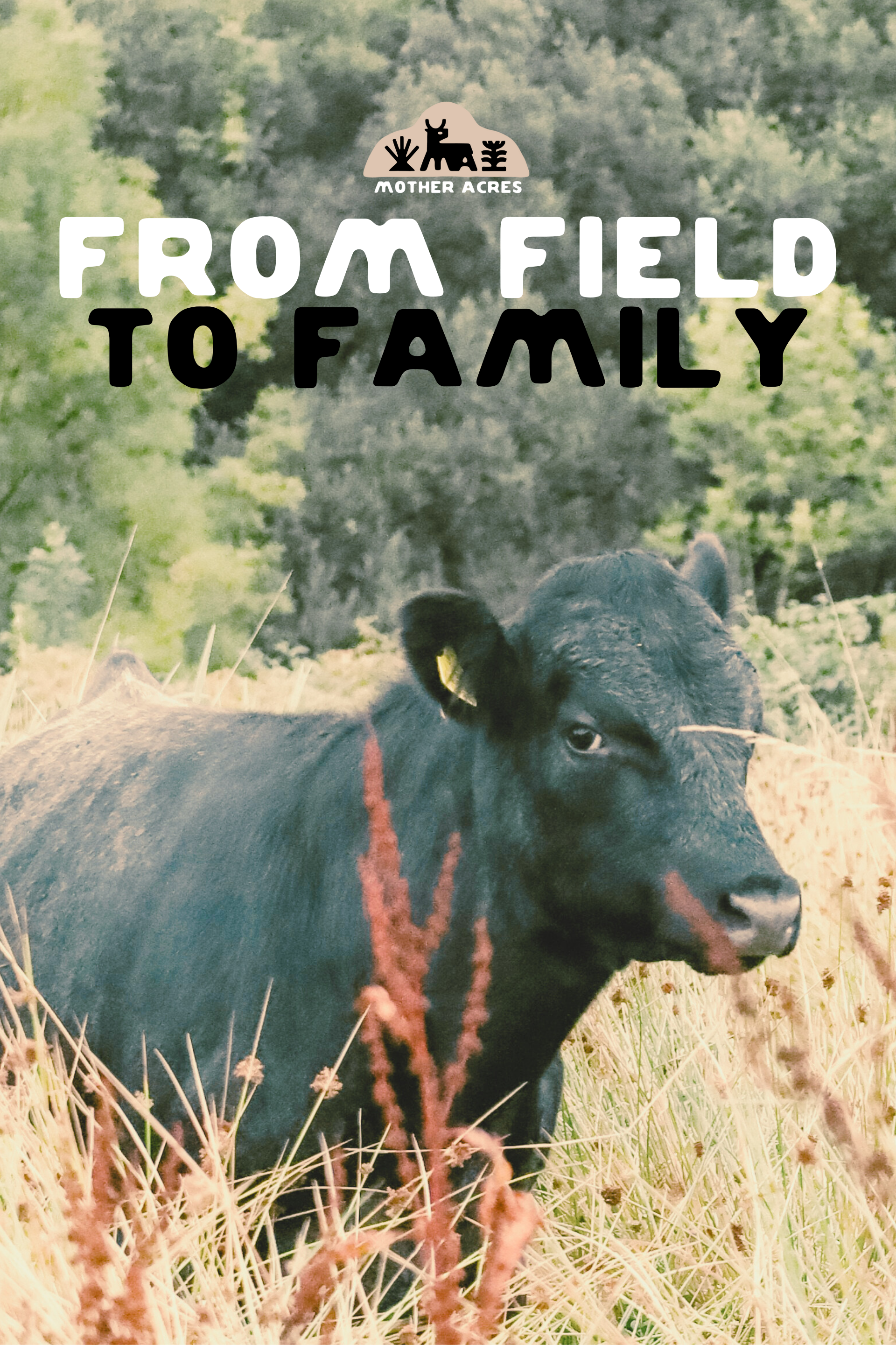 Half Cow Share (1/2 cow) $13.00 lb