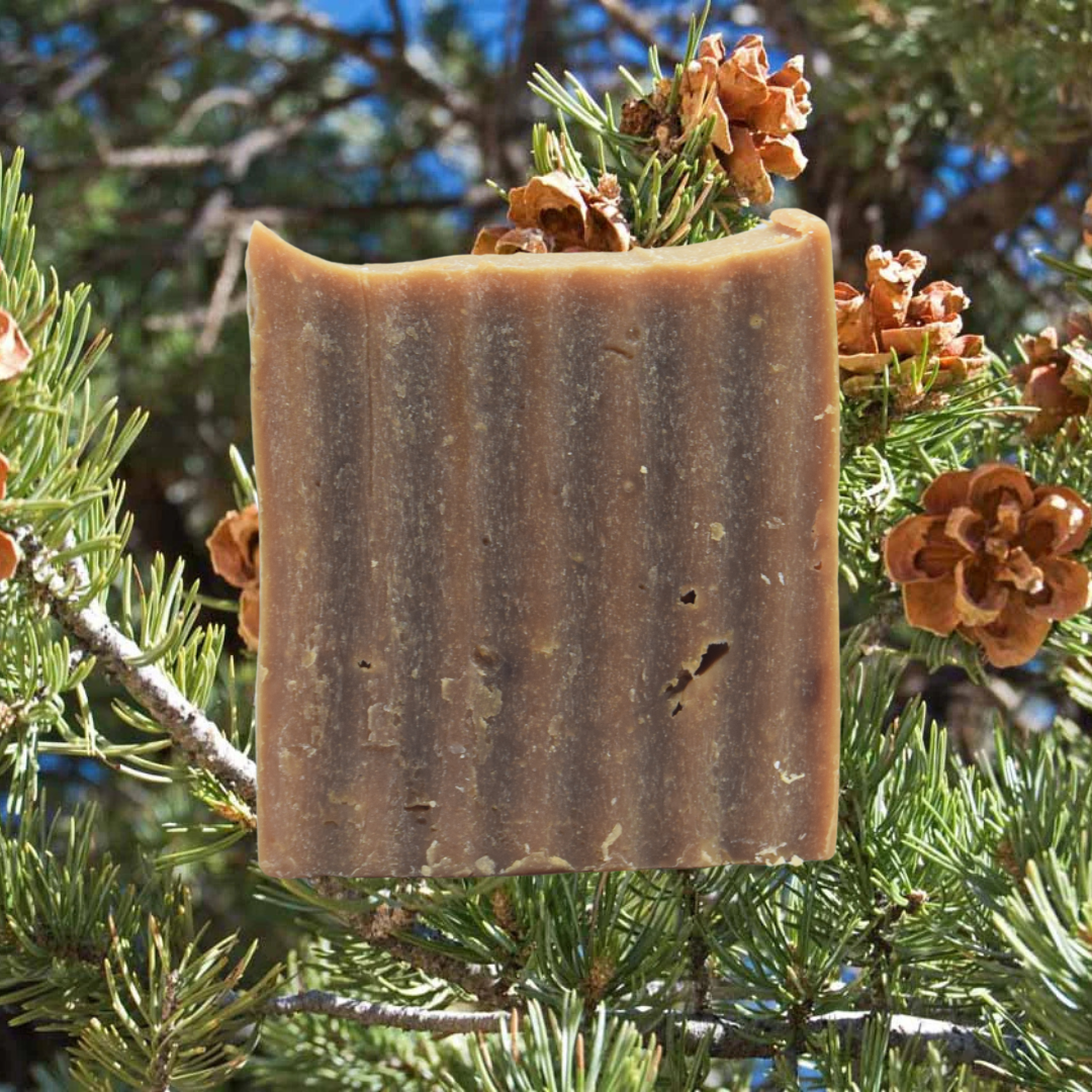 Piñon Woods Tallow Soap Bar