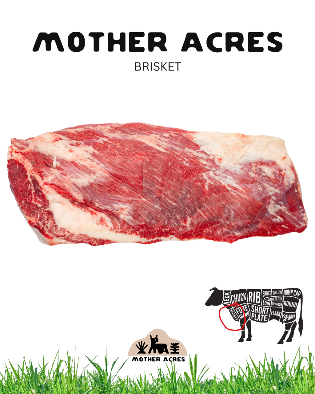 Grass Fed Beef Brisket