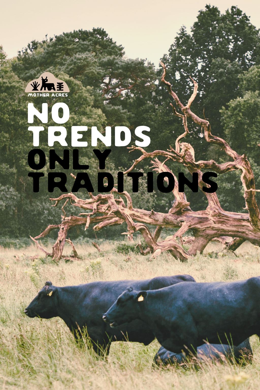 Whole Cow Share Starter Kit (Whole Cow + Frigidaire 16 cu. ft. Garage Ready Upright Freezer Bundle) $11.50 lb