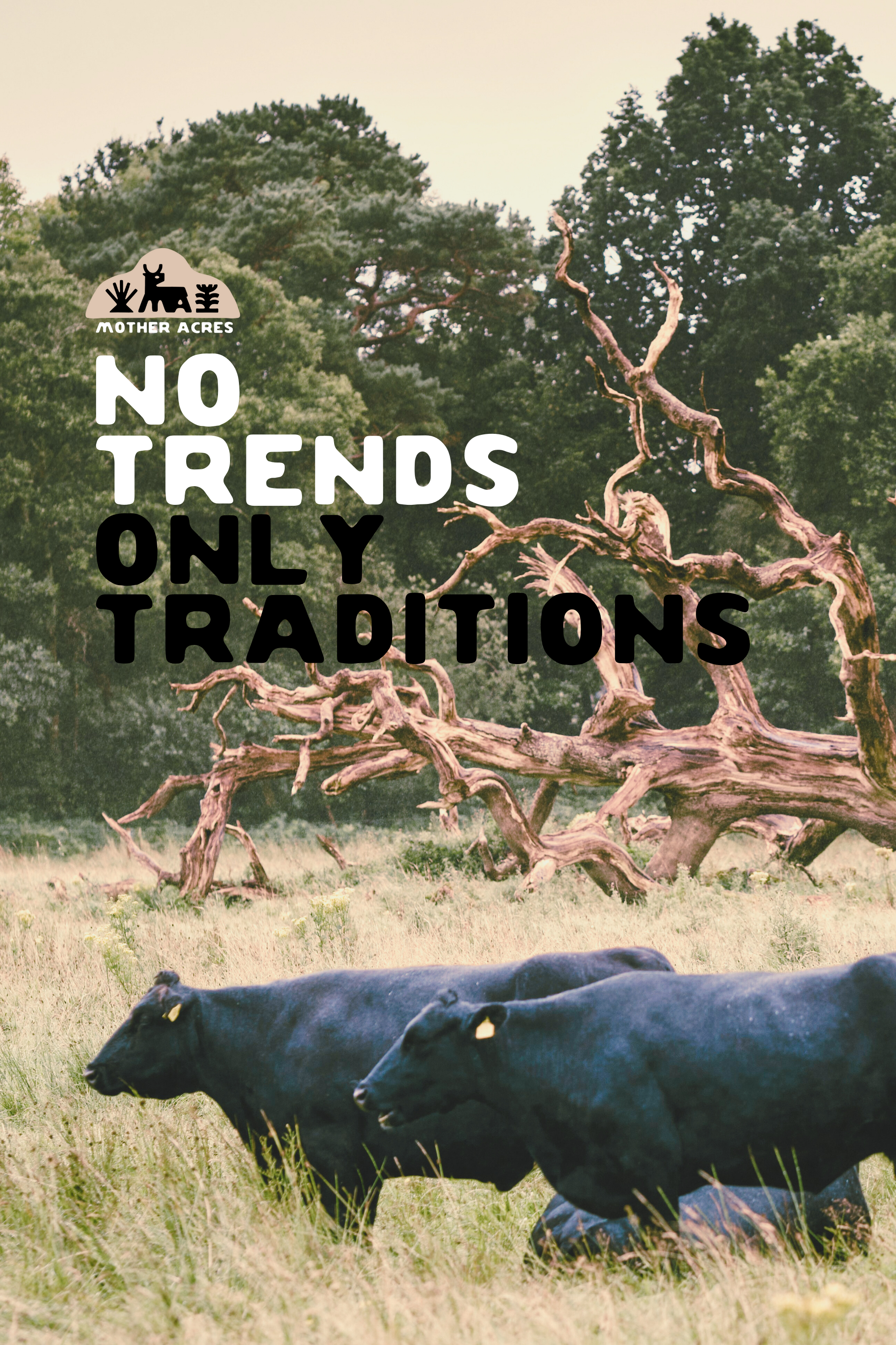 Half Cow Share (1/2 cow) $13.00 lb