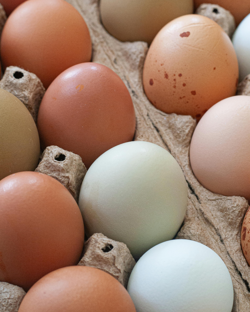 Doublegate Farms – Pasture-Raised Soy-Free Organic Eggs