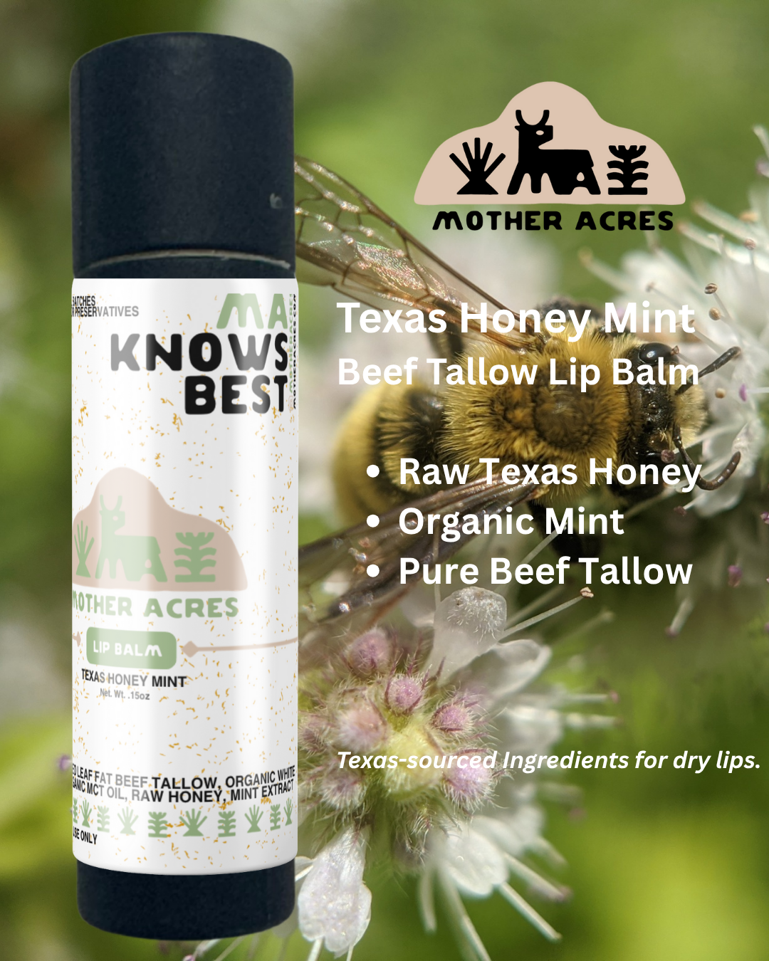 Texas Honey Mint .15 oz Lip Balm