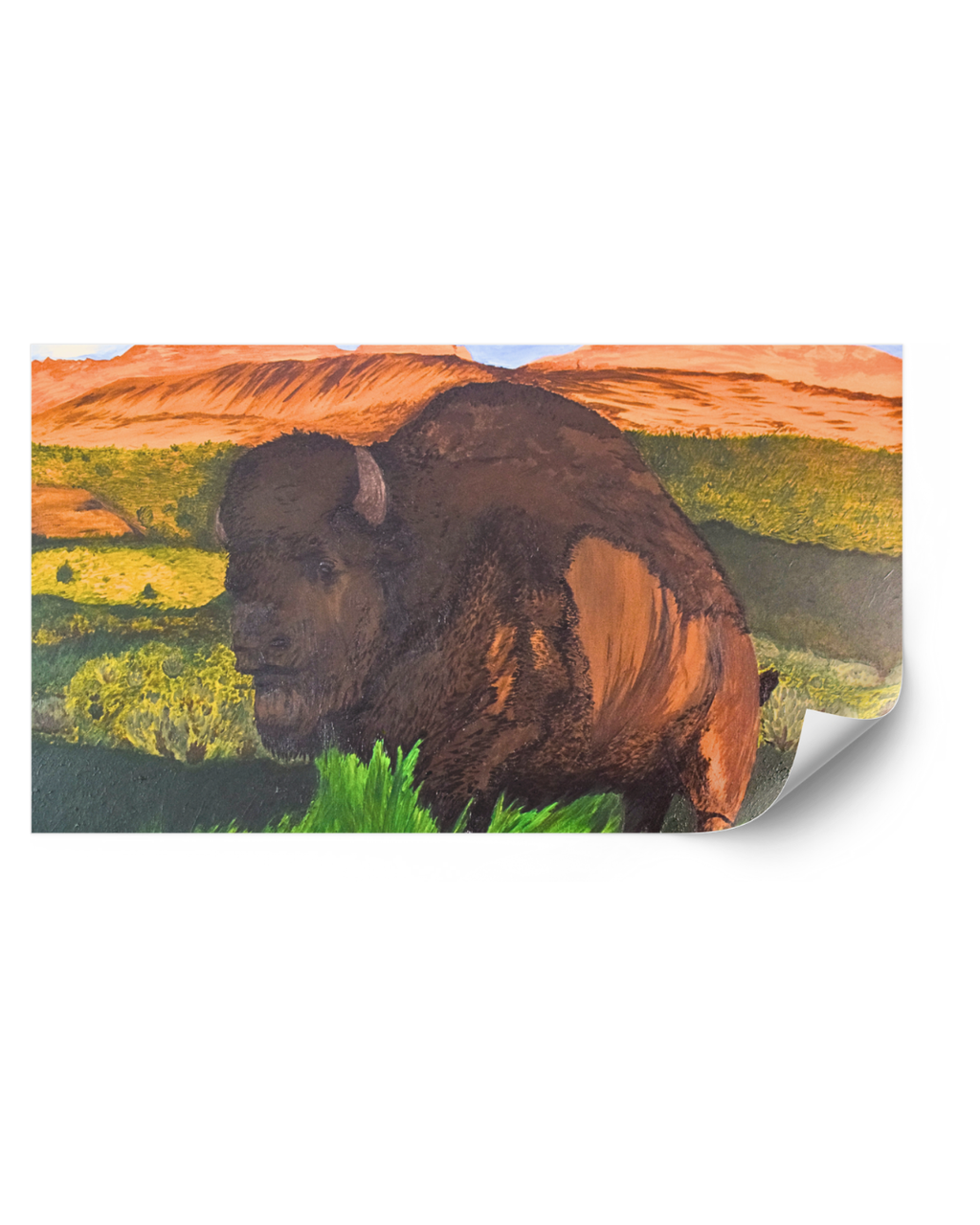 Sunshine Solitude Unframed or Framed Fine Art Print (30 × 24 inch)- Studies of the Southwest