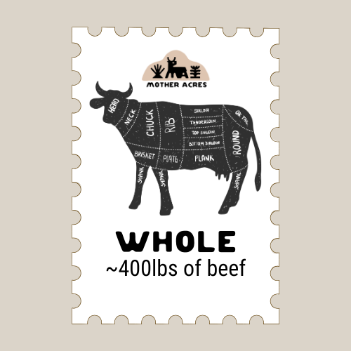 Whole Cow Share Starter Kit (Whole Cow + Frigidaire 16 cu. ft. Garage Ready Upright Freezer Bundle) $11.50 lb