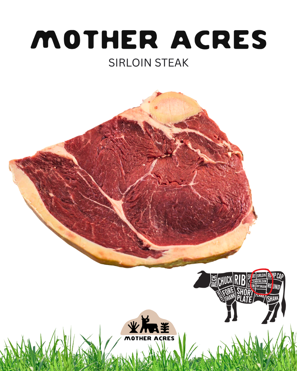 Grass Fed Beef Single Bone In Sirloin Steak