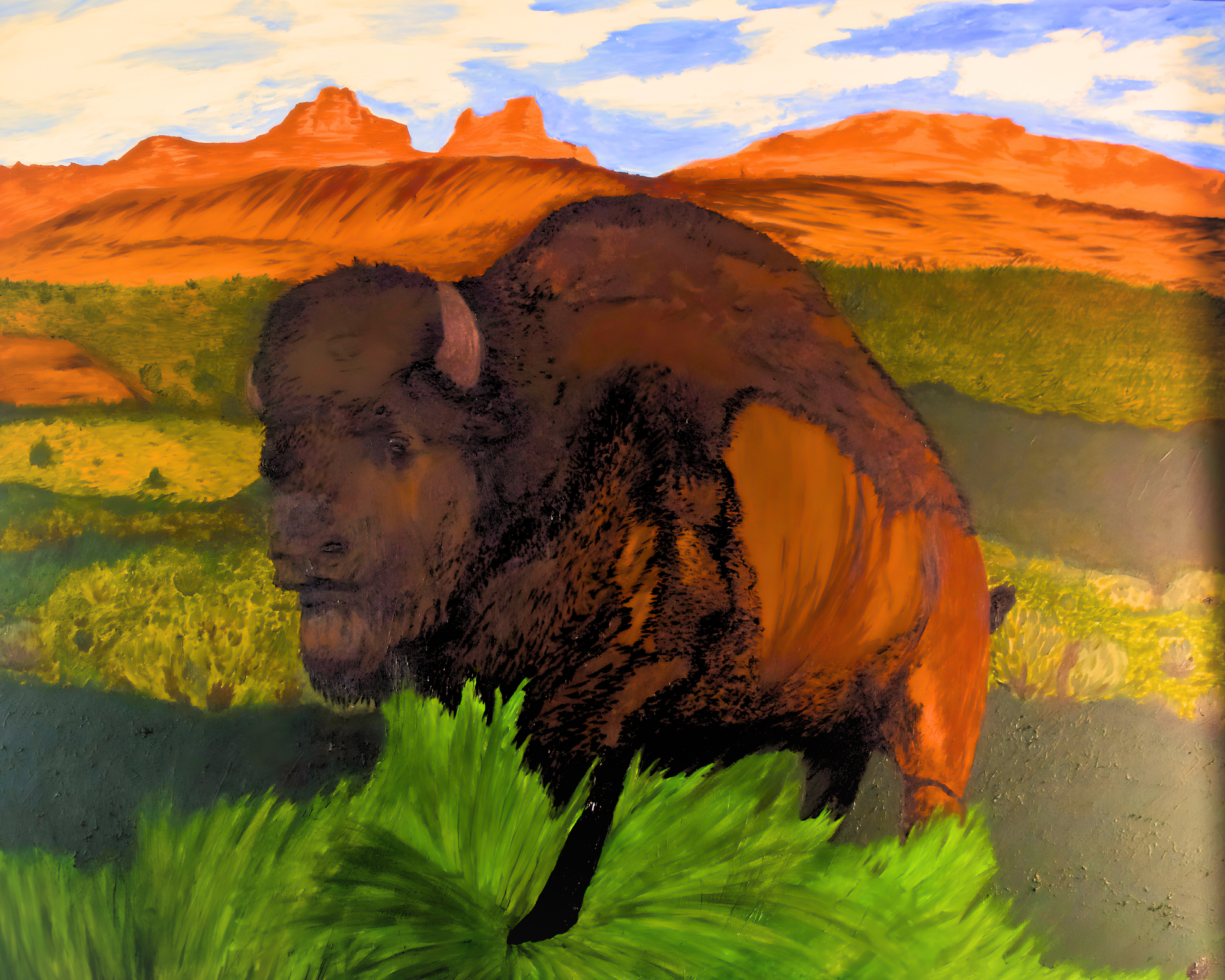 Sunshine Solitude Unframed or Framed Fine Art Print (30 × 24 inch)- Studies of the Southwest